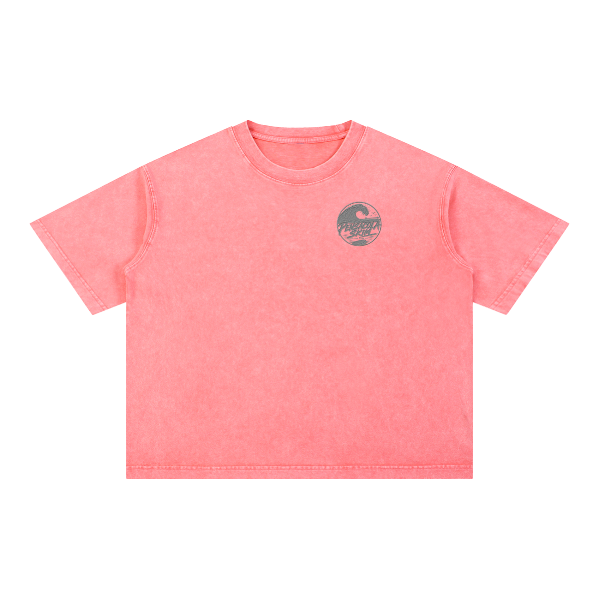 Pensacola Skim Silver Graphic Mineral Wash Boxy Cotton T-Shirt