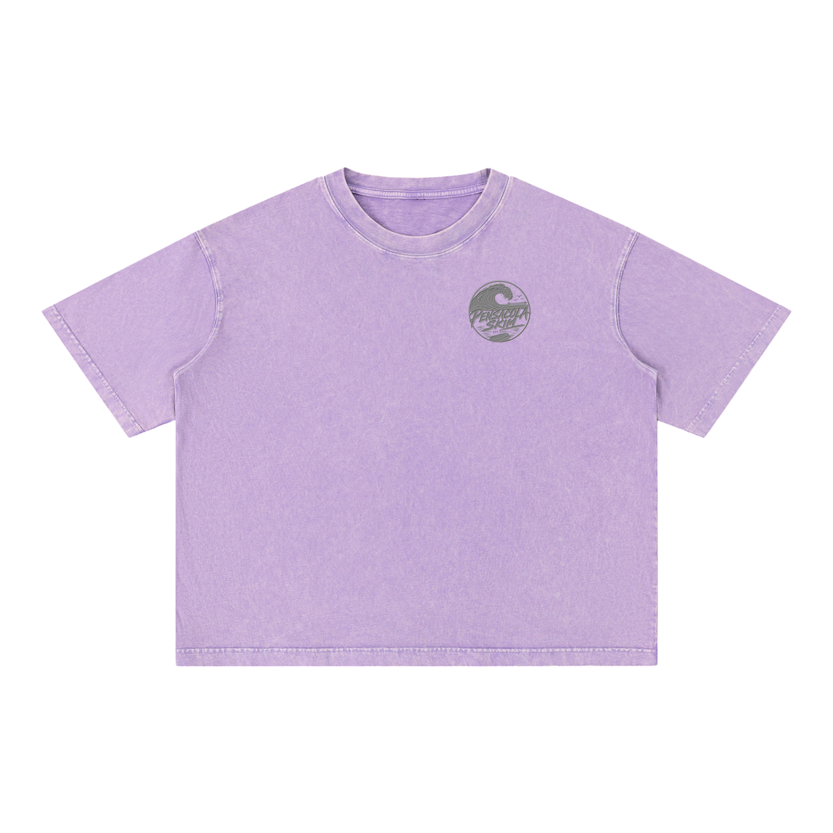 Pensacola Skim Silver Graphic Mineral Wash Boxy Cotton T-Shirt
