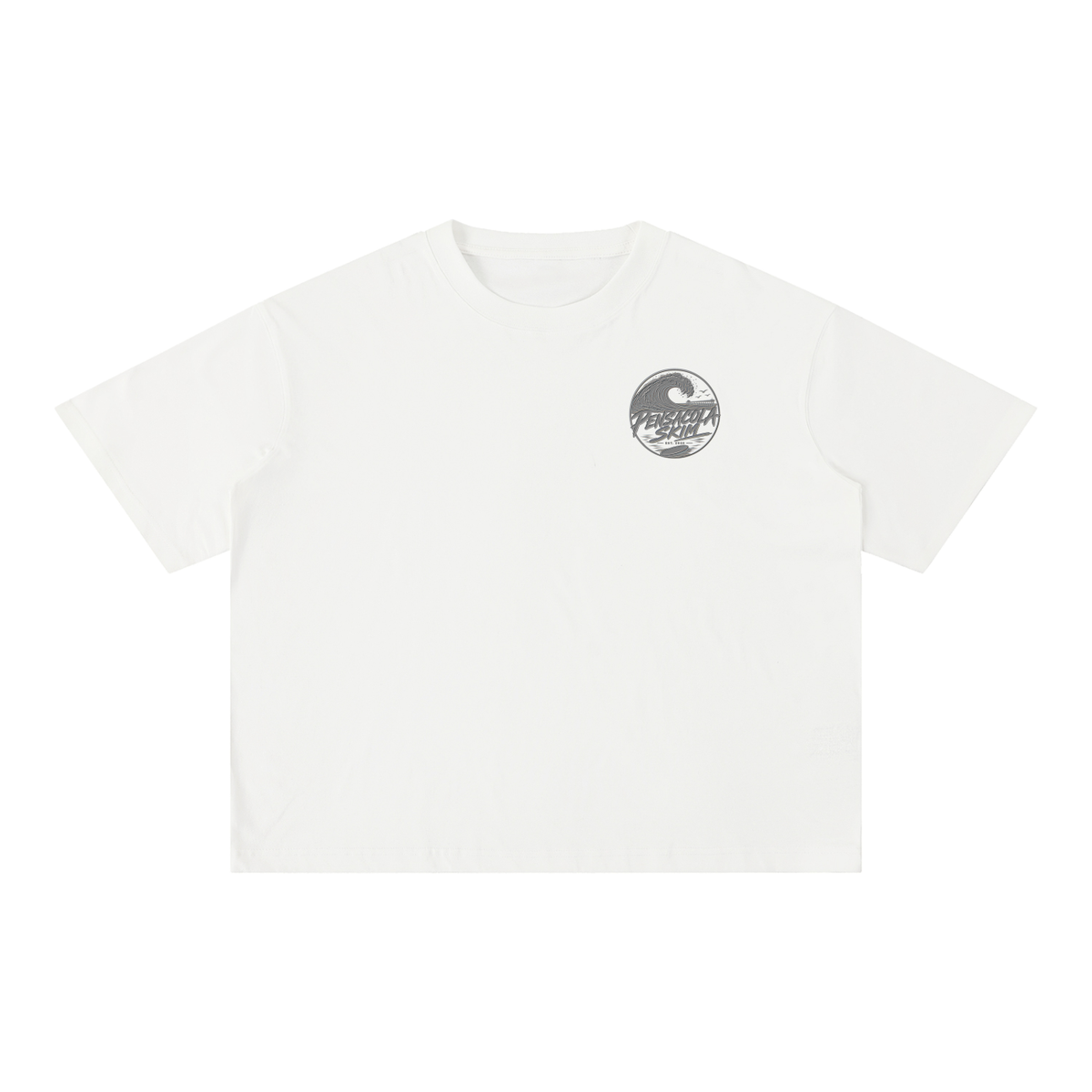 Pensacola Skim Silver Graphic Mineral Wash Boxy Cotton T-Shirt