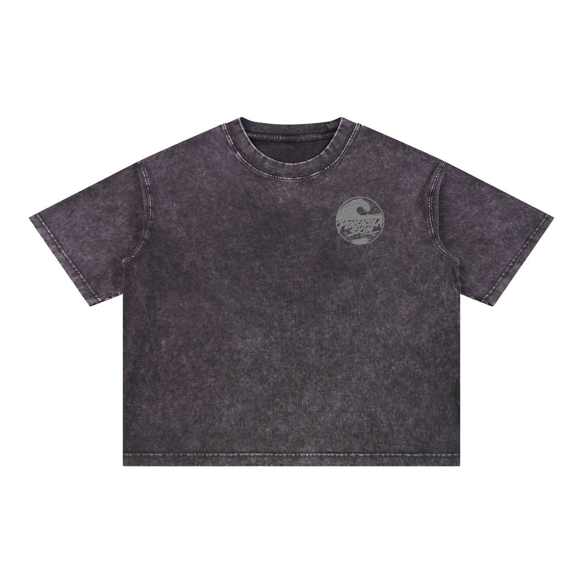 Pensacola Skim Silver Graphic Mineral Wash Boxy Cotton T-Shirt