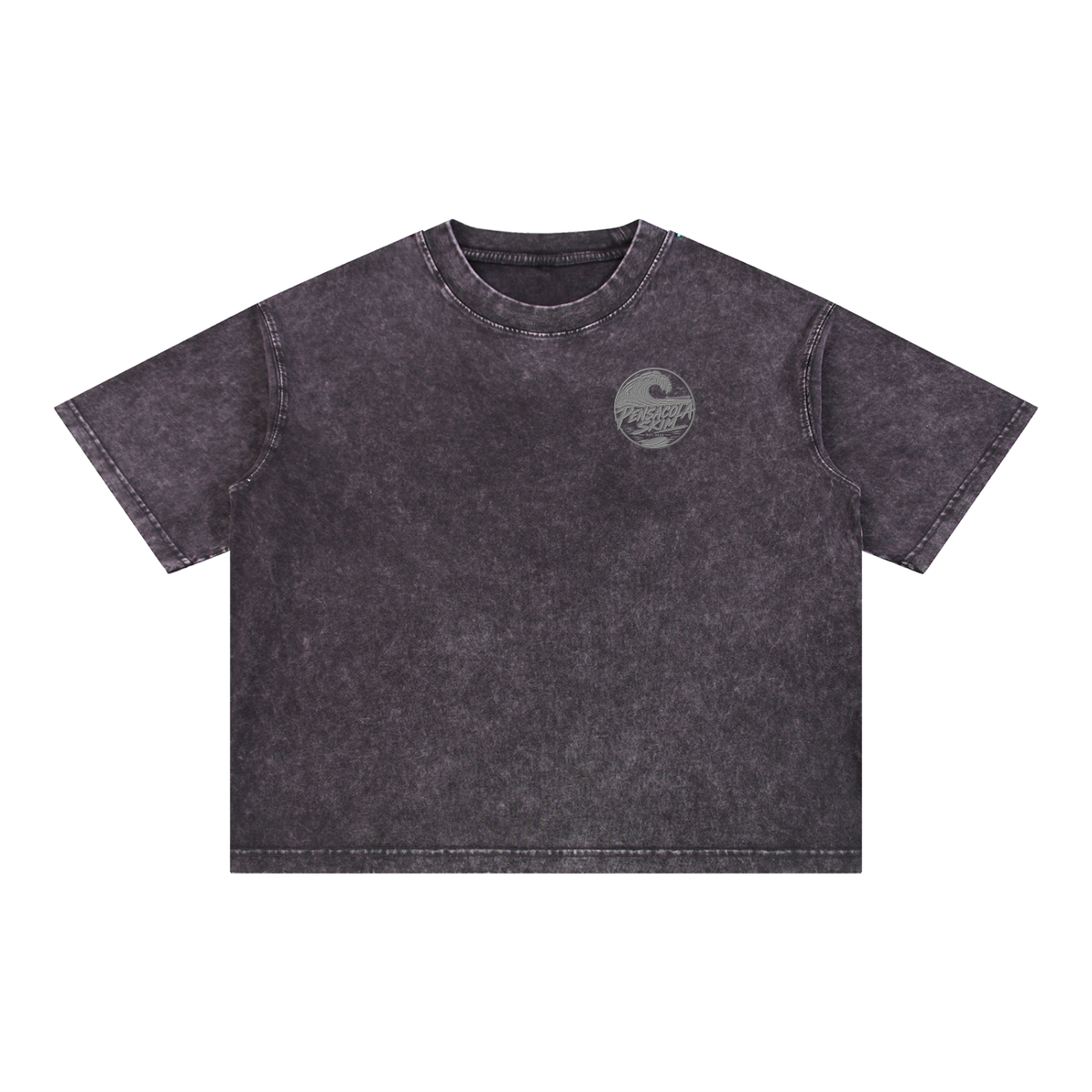 Pensacola Skim Silver Graphic Mineral Wash Boxy Cotton T-Shirt