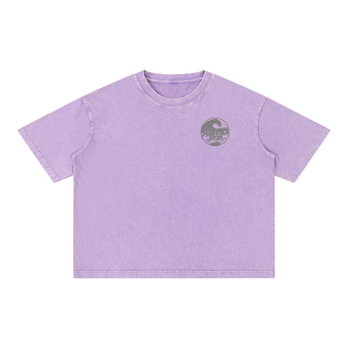Pensacola Skim Silver Graphic Mineral Wash Boxy Cotton T-Shirt